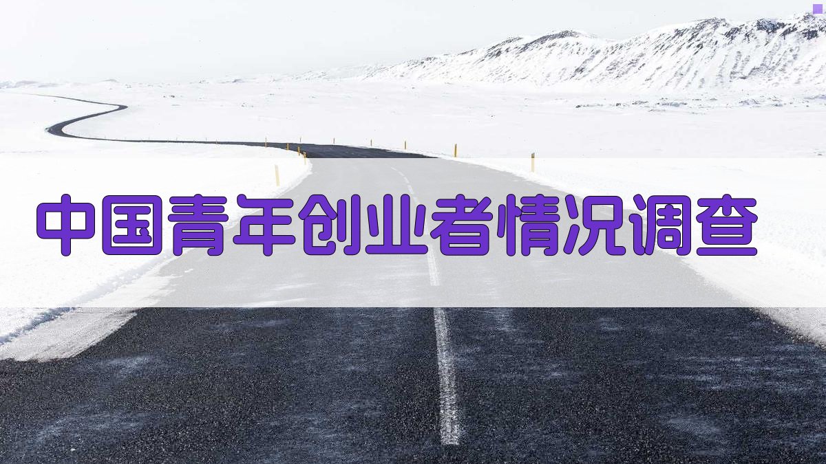 中国青年创业者情况调查
