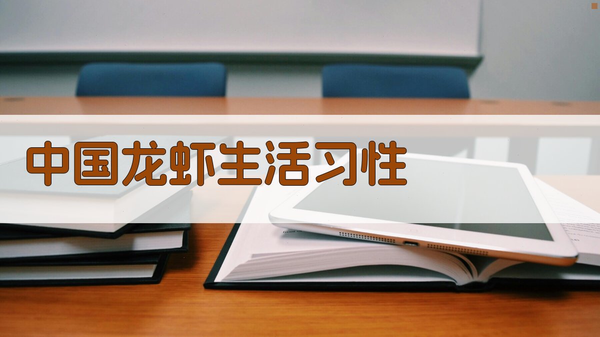 中国龙虾生活习性