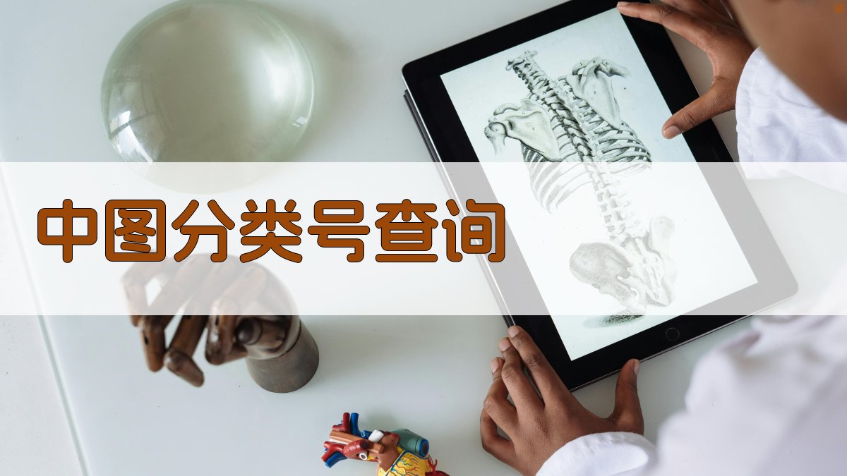 AI中图分类号查询