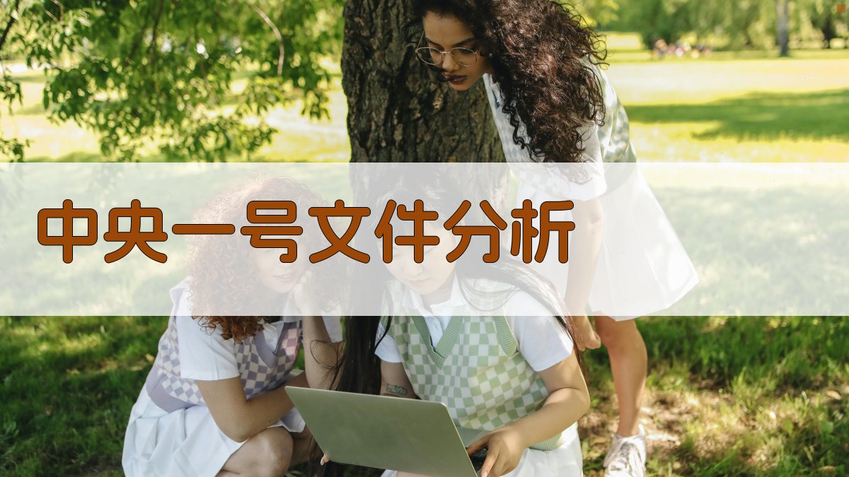 中央一号文件分析