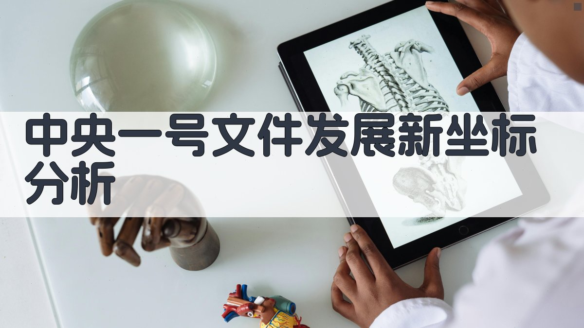 中央一号文件发展新坐标分析