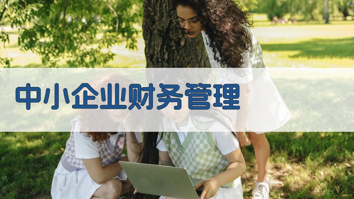 AI智能分析中小企业财务管理问题及对策