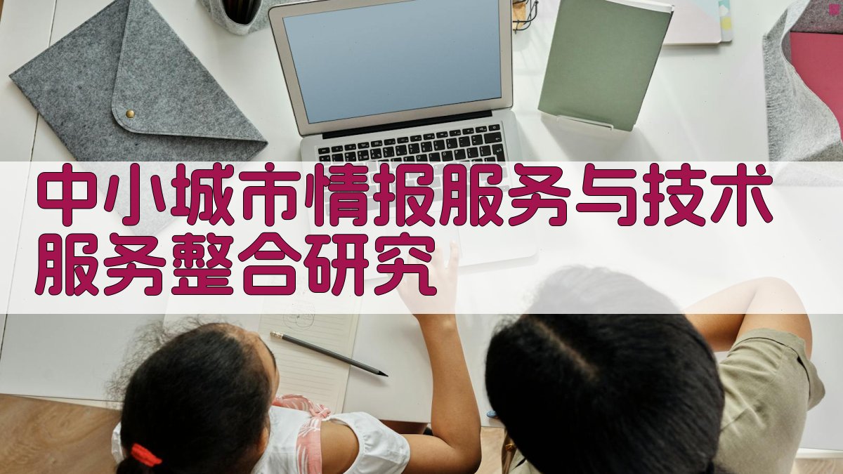 中小城市情报服务与技术服务整合研究