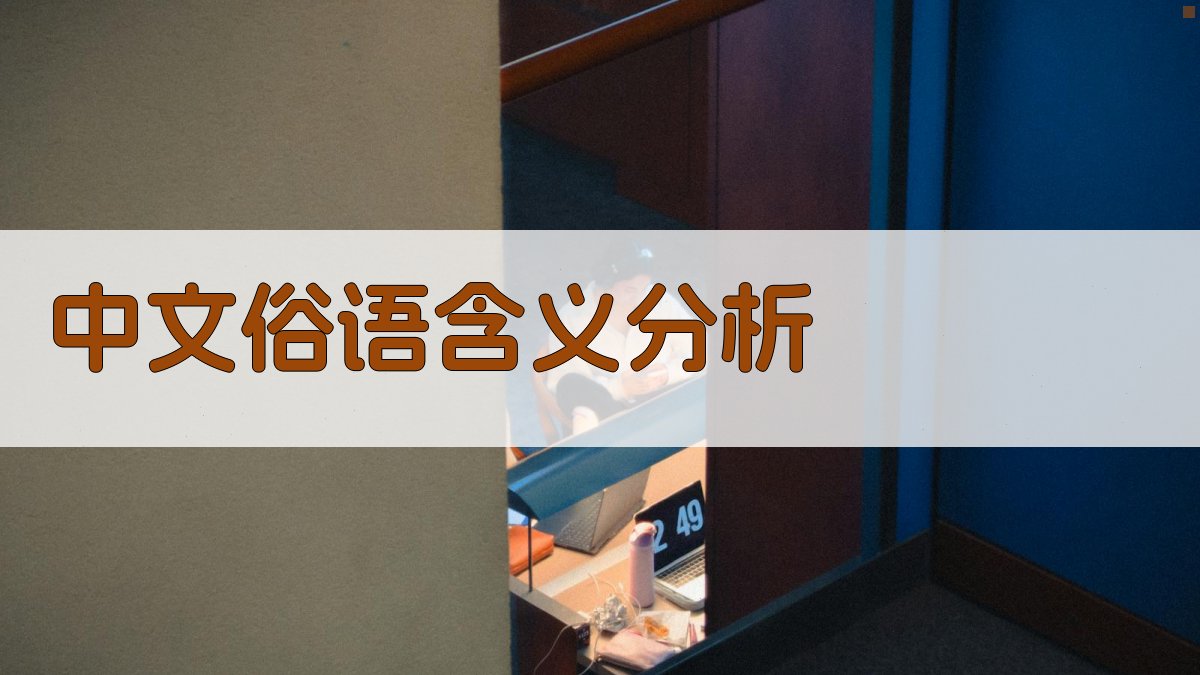 AI中文俗语含义分析