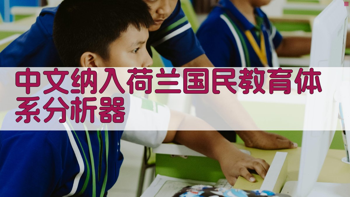 中文纳入荷兰国民教育体系分析工具