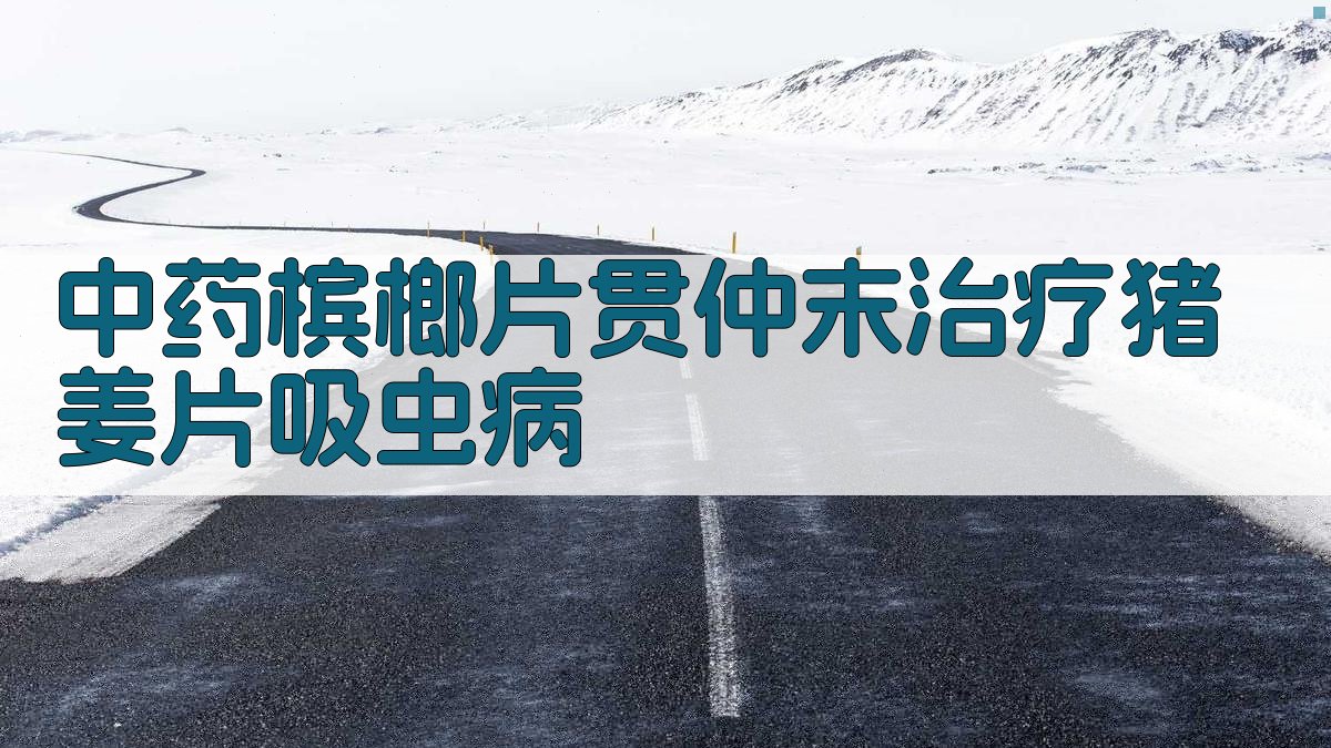 中药槟榔片贯仲末治疗猪姜片吸虫病