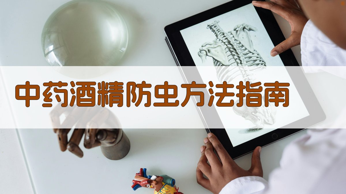 中药酒精防虫方法指南