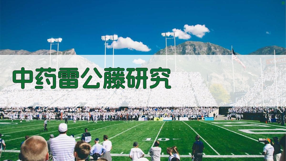 中药雷公藤研究