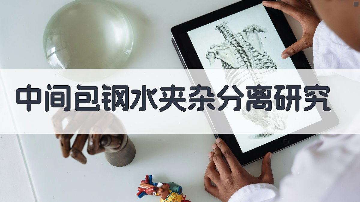 中间包钢水夹杂分离研究分析工具