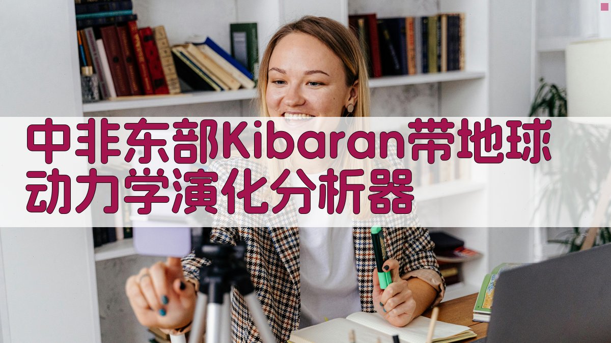 中非东部Kibaran带地球动力学演化分析器