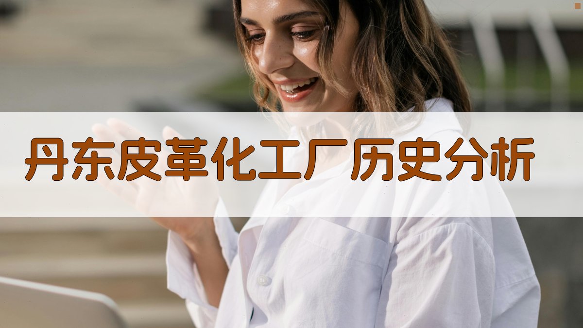 丹东市皮革化工厂历史分析