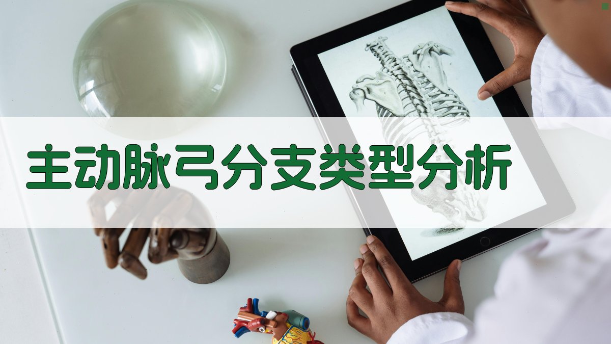 AI主动脉弓分支类型分析