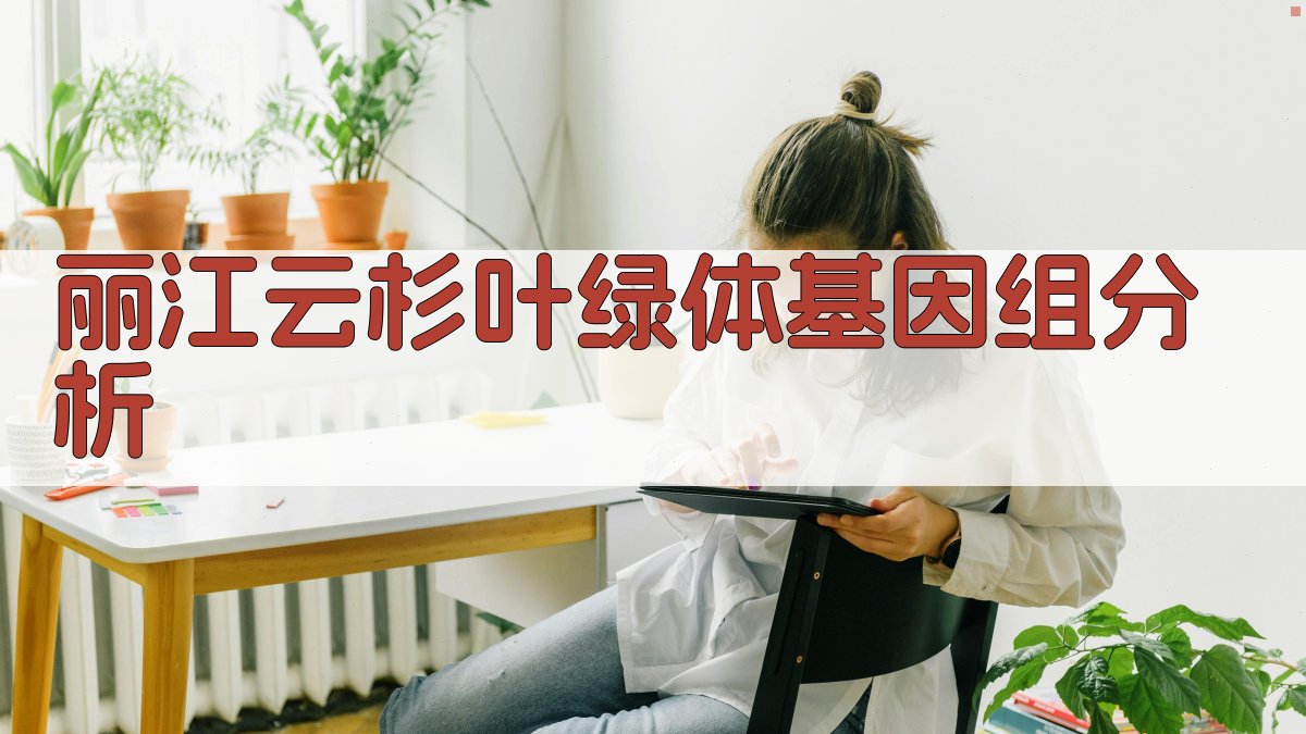 丽江云杉叶绿体基因组分析