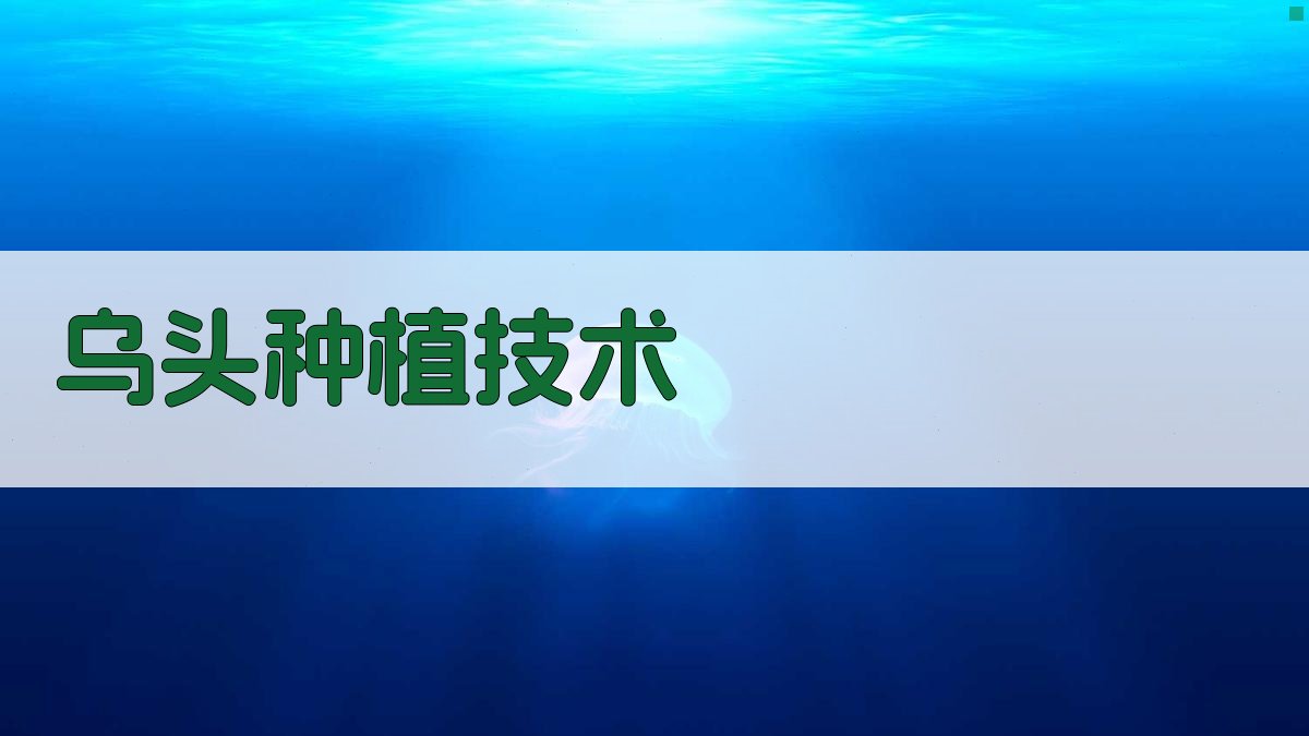 AI乌头种植技术