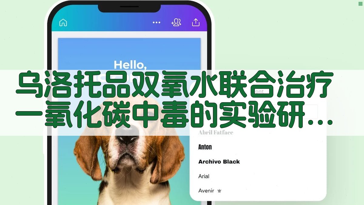 乌洛托品双氧水联合治疗一氧化碳中毒的实验研究工具