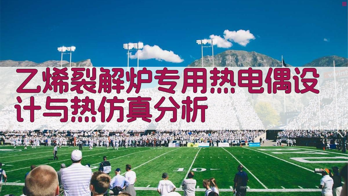 乙烯裂解炉专用热电偶设计与热仿真分析