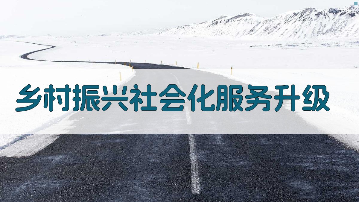 AI智能乡村振兴社会化服务升级文案生成器