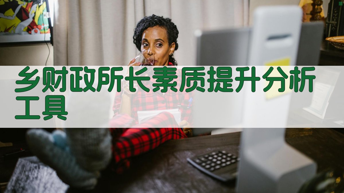 乡财政所长素质提升分析工具
