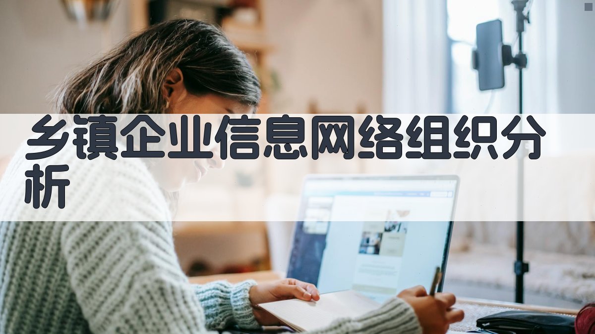 乡镇企业信息网络组织分析