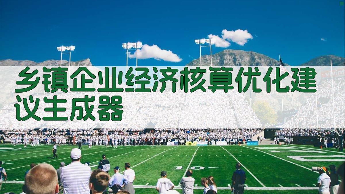 AI乡镇企业经济核算优化建议生成器