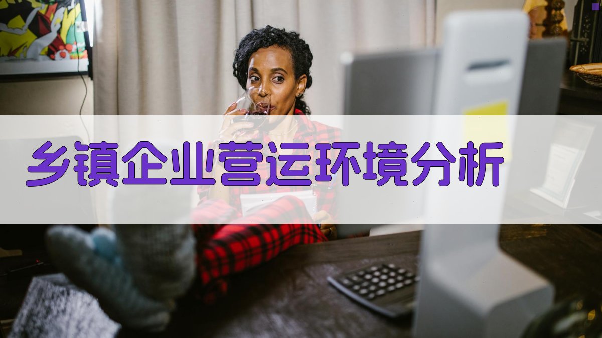 乡镇企业营运环境分析