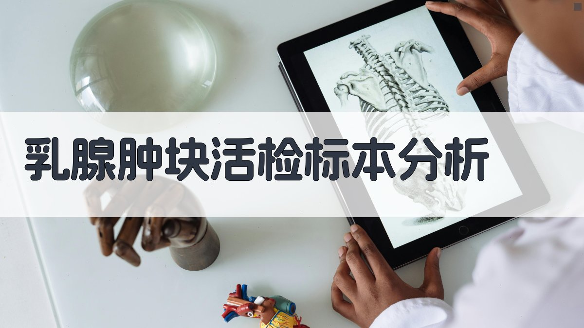 AI乳腺肿块活检标本分析工具