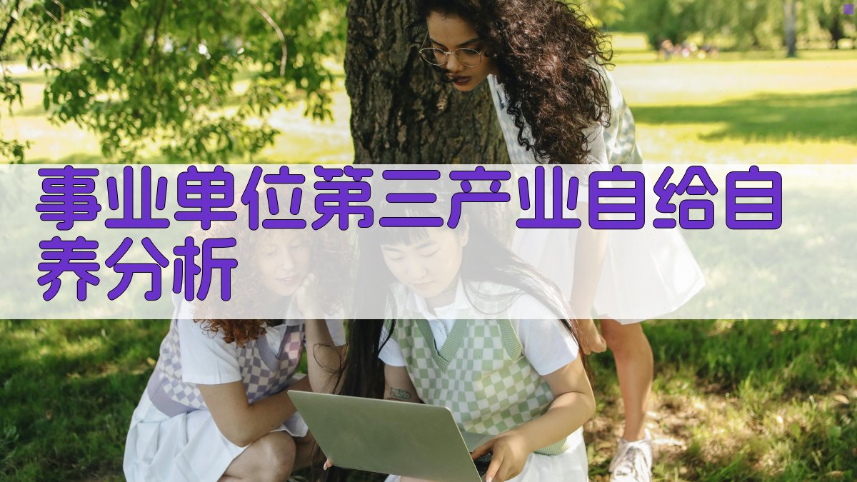 事业单位第三产业自给自养分析