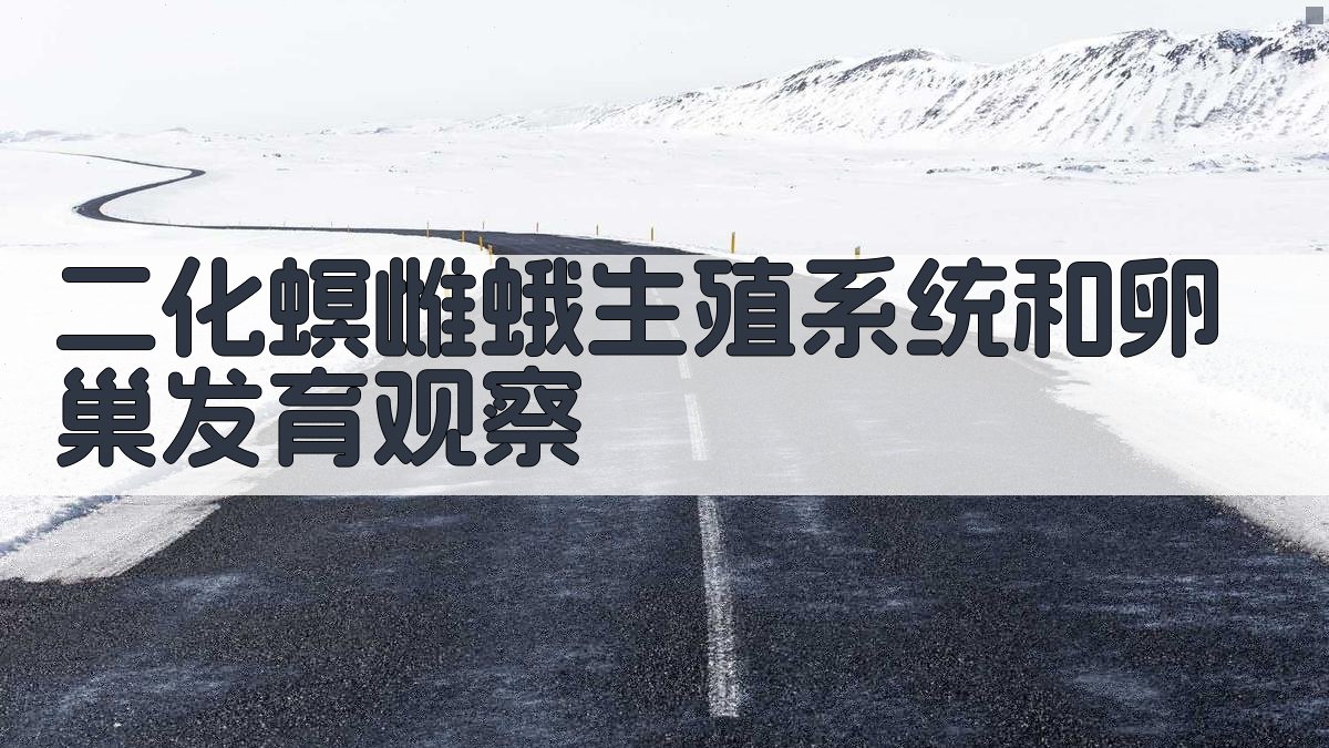 二化螟雌蛾生殖系统和卵巢发育观察