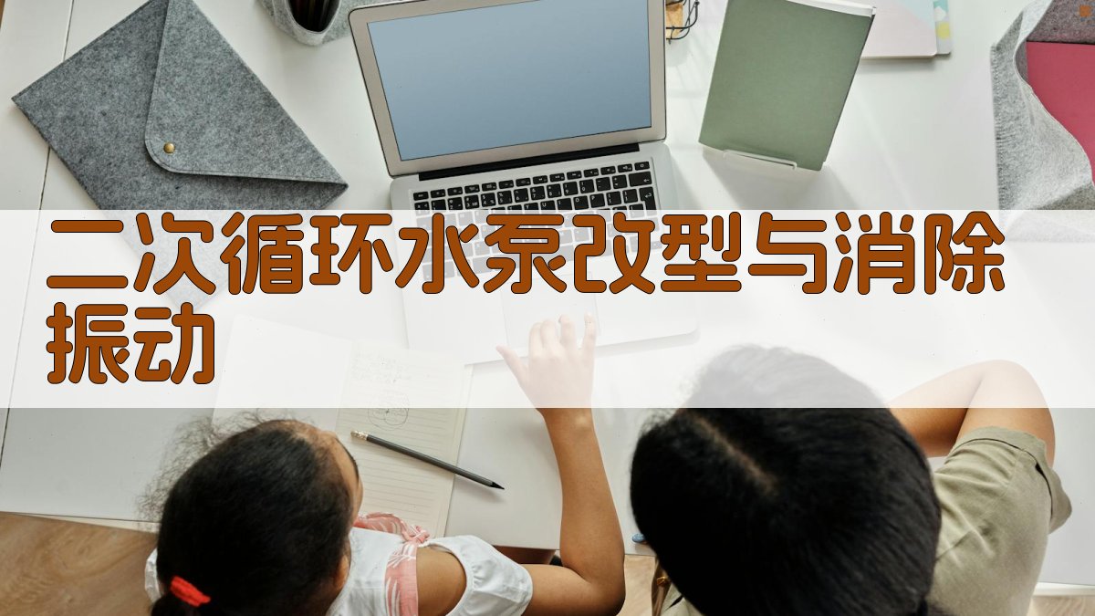 二次循环水泵改型与消除振动