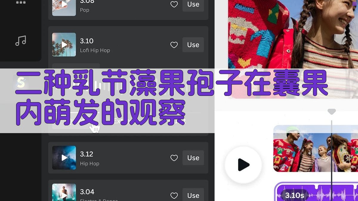 二种乳节藻果孢子在囊果内萌发的观察