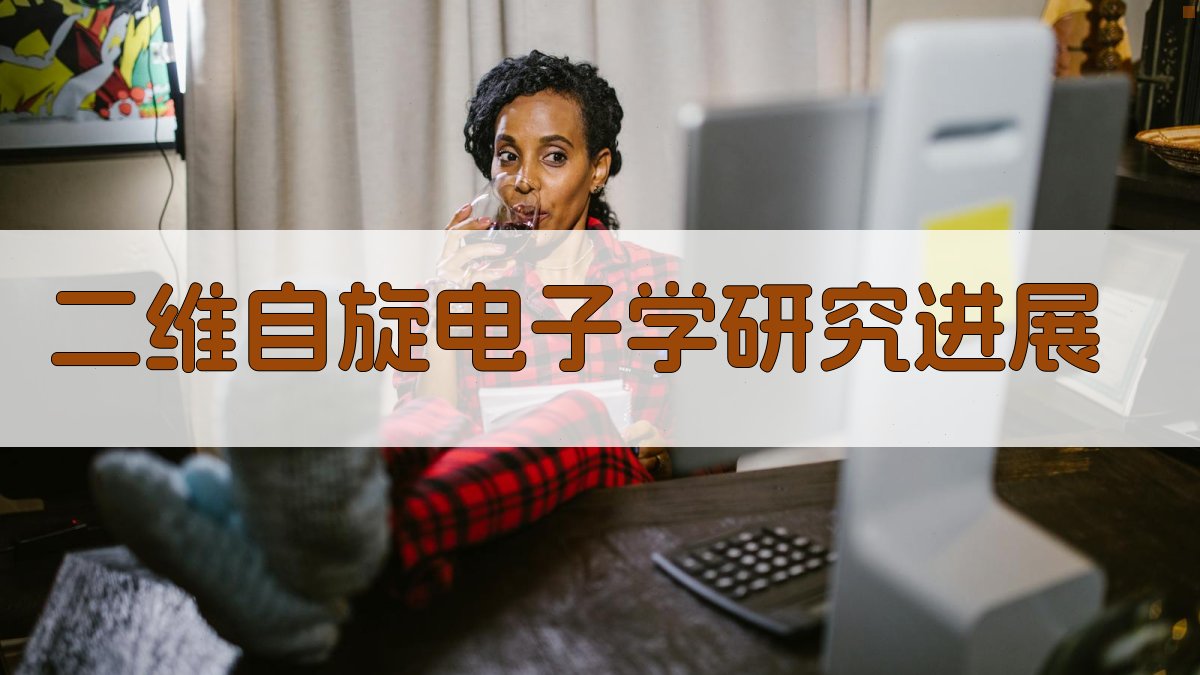 AI二维自旋电子学研究进展