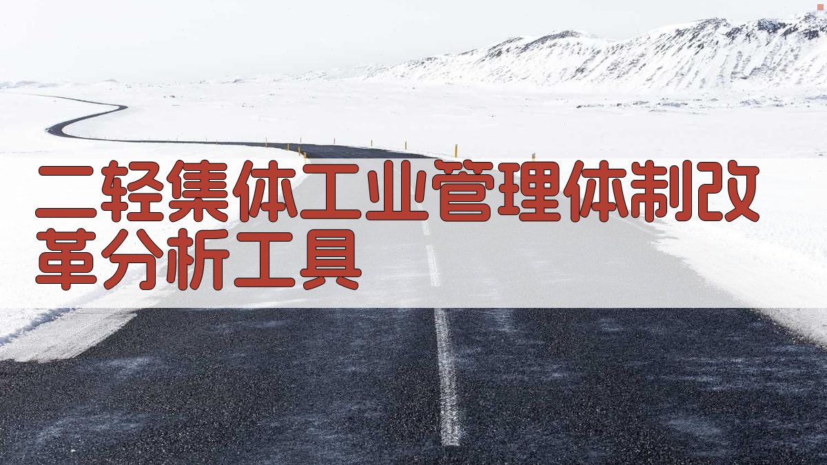 二轻集体工业管理体制改革分析工具