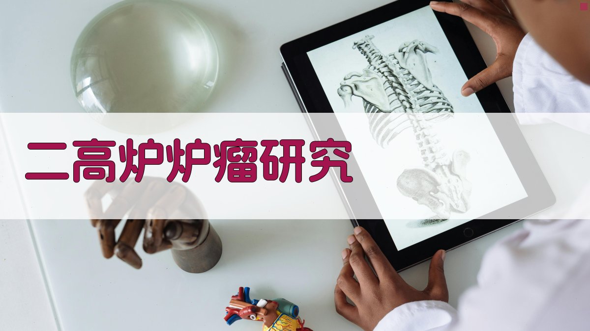 二高炉一九七五年炉瘤研究分析