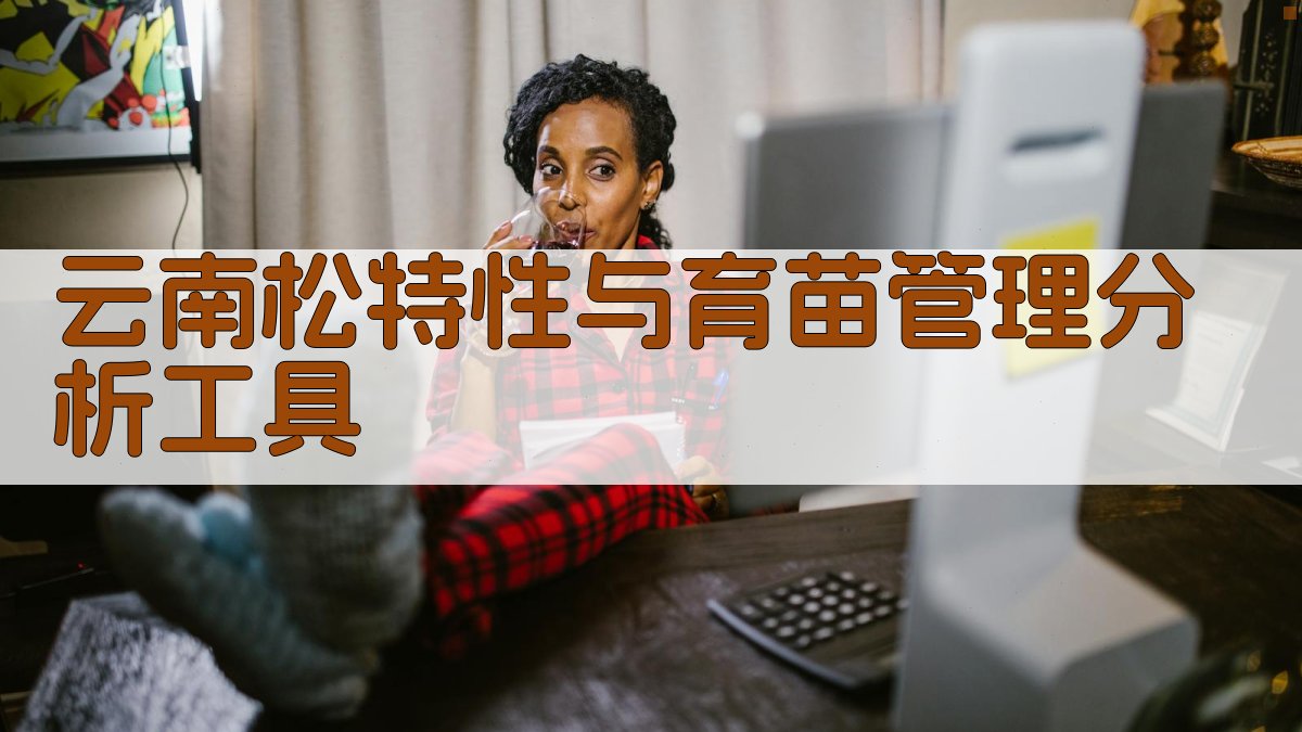 云南松特性与育苗管理专家分析工具