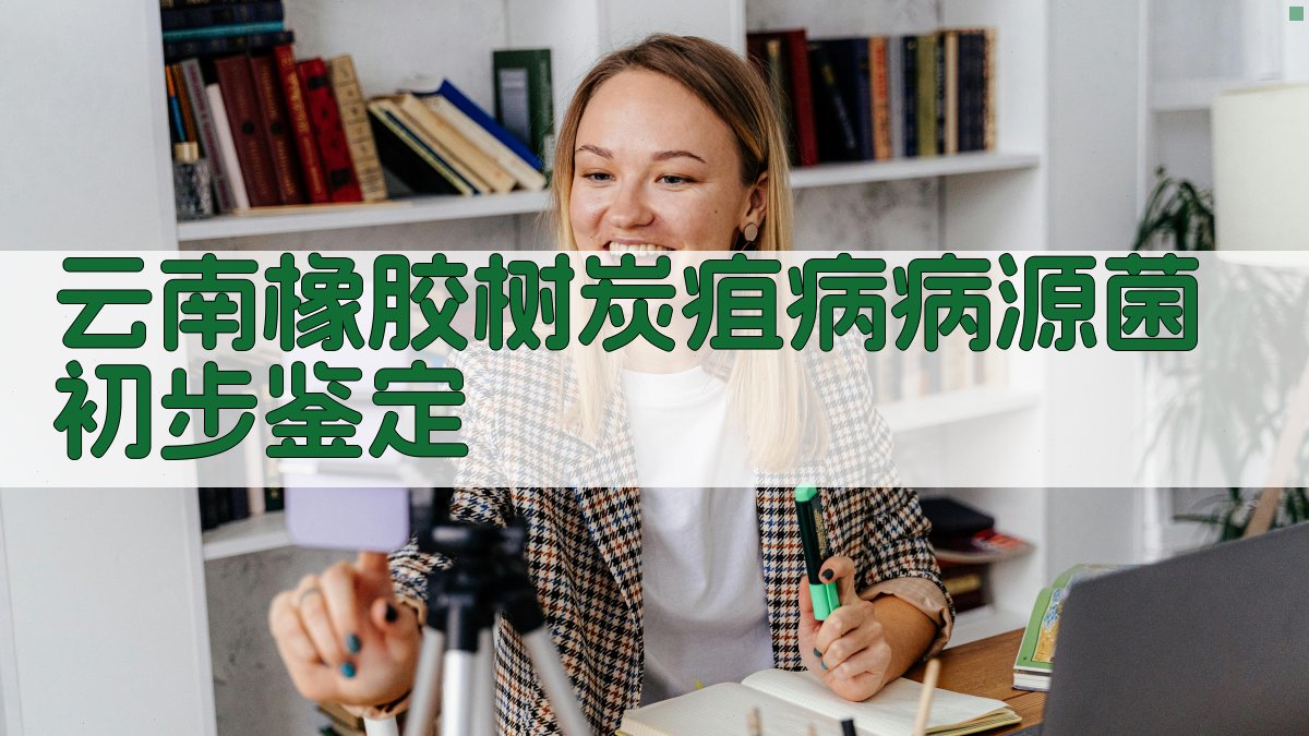 云南橡胶树炭疽病病源菌初步鉴定