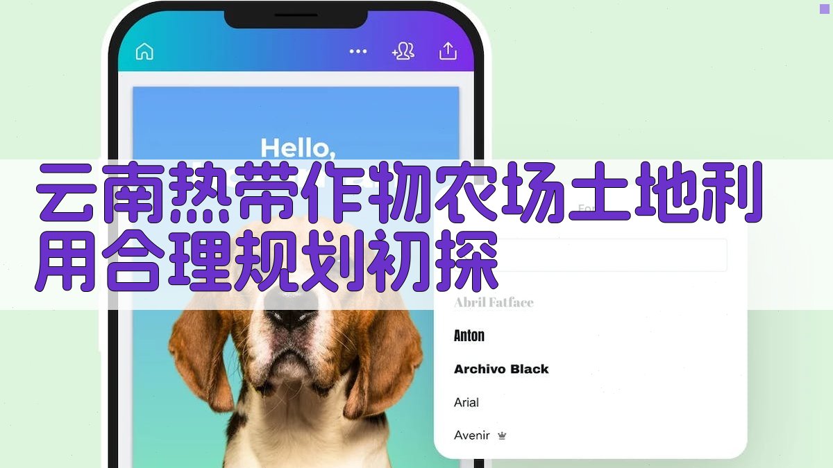云南热带作物农场土地利用合理规划初探