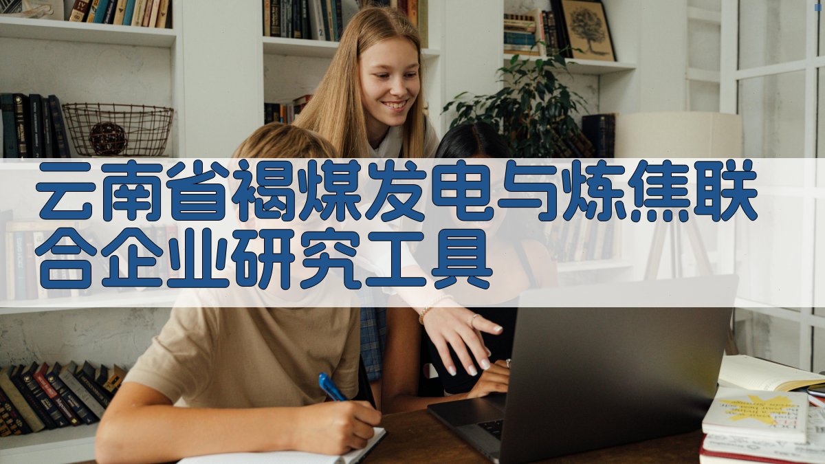 云南省褐煤发电与炼焦联合企业研究工具