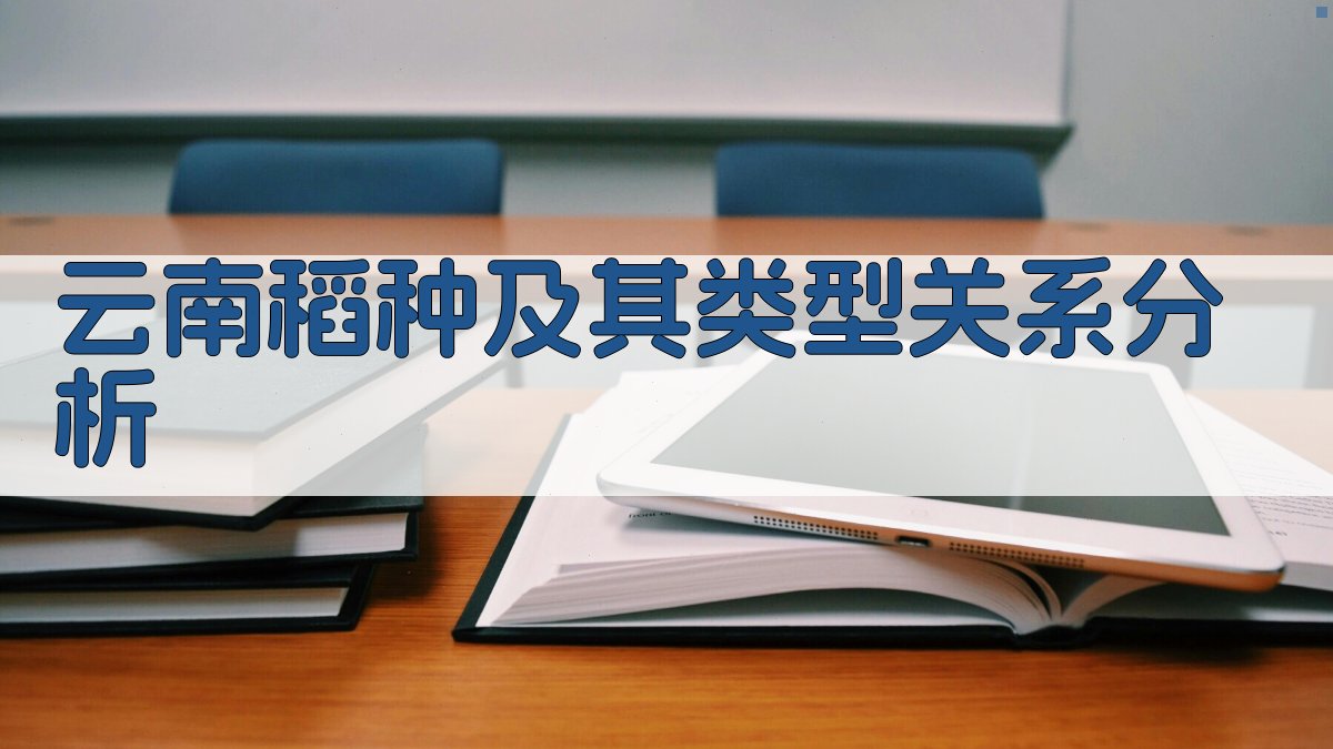 AI云南稻种及其类型关系分析工具