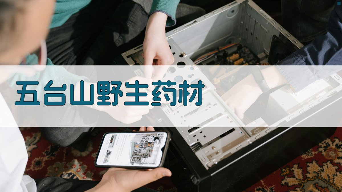 五台山野生药材