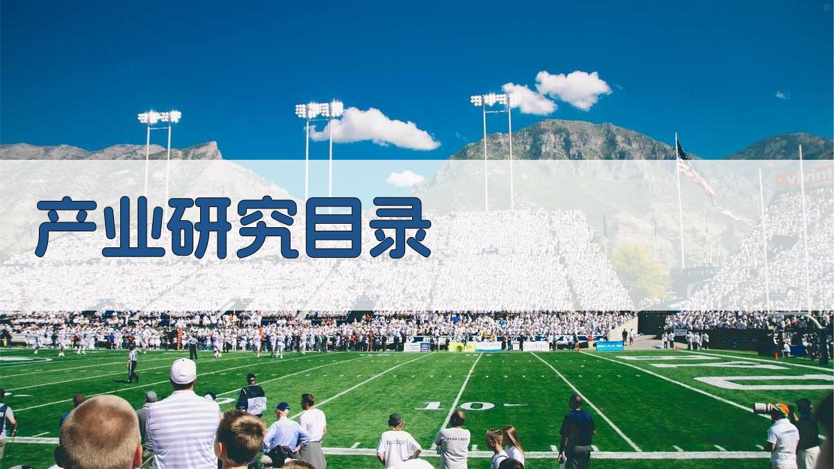 AI产业研究目录生成器