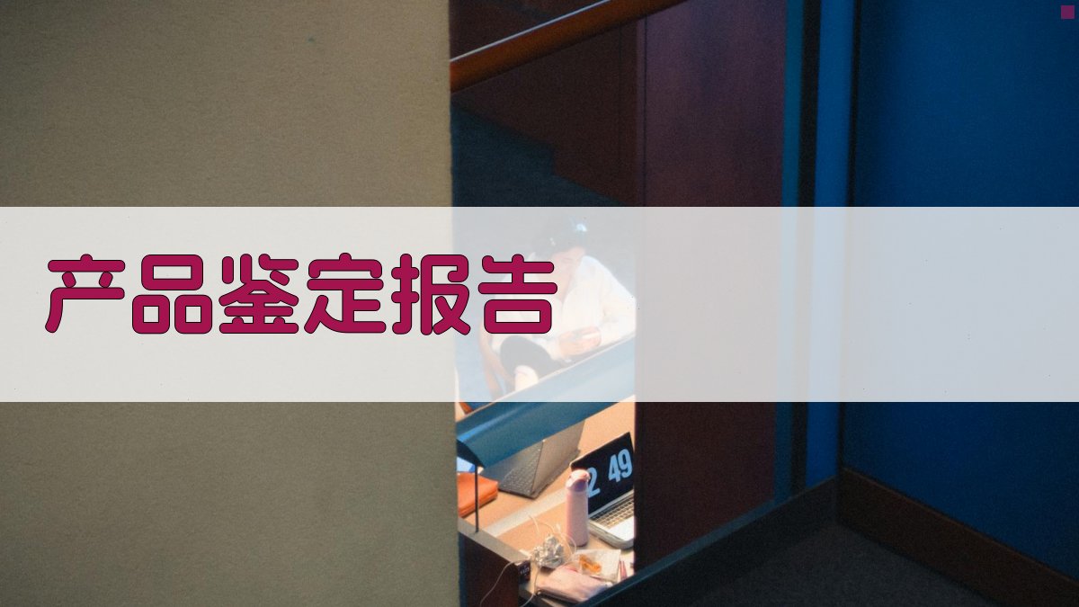 AI产品鉴定报告