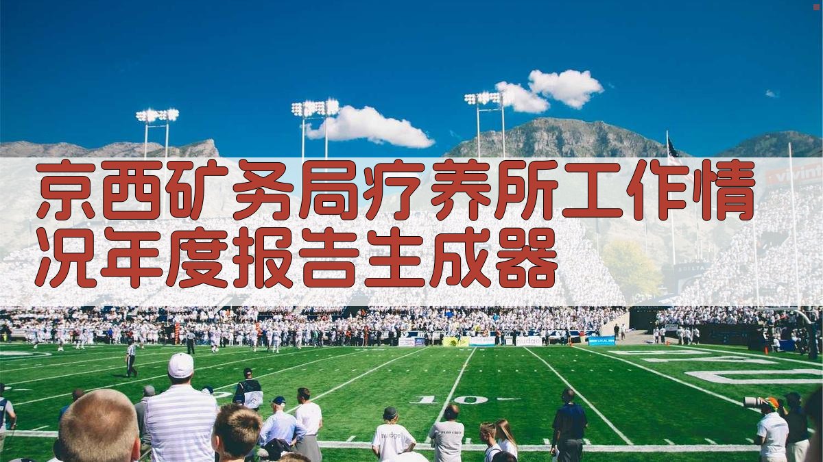 京西矿务局疗养所工作情况年度报告生成器