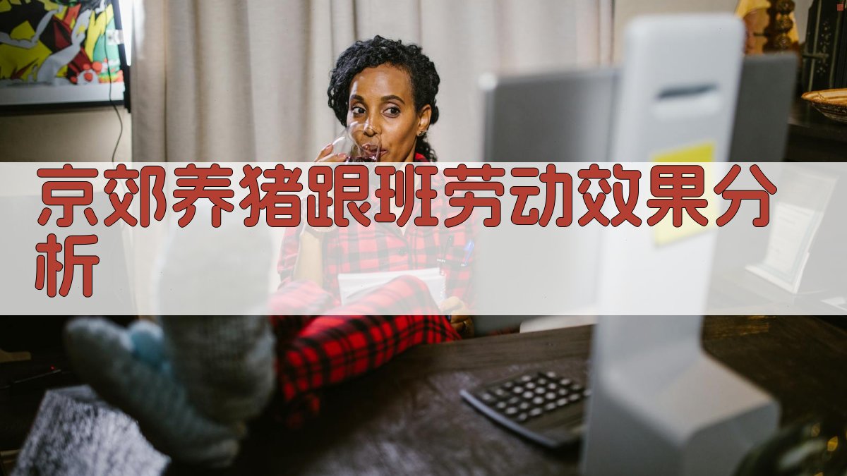 京郊养猪跟班劳动效果分析