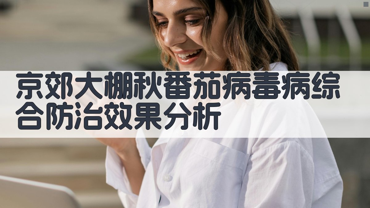 京郊大棚秋番茄病毒病综合防治效果分析