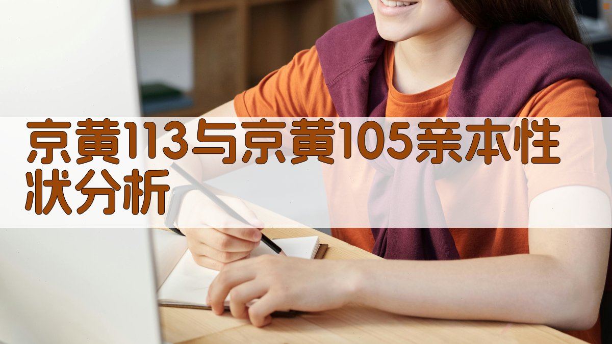 京黄113与京黄105亲本性状分析