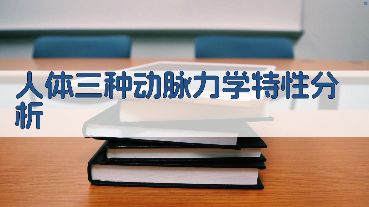 AI人体三种动脉力学特性分析