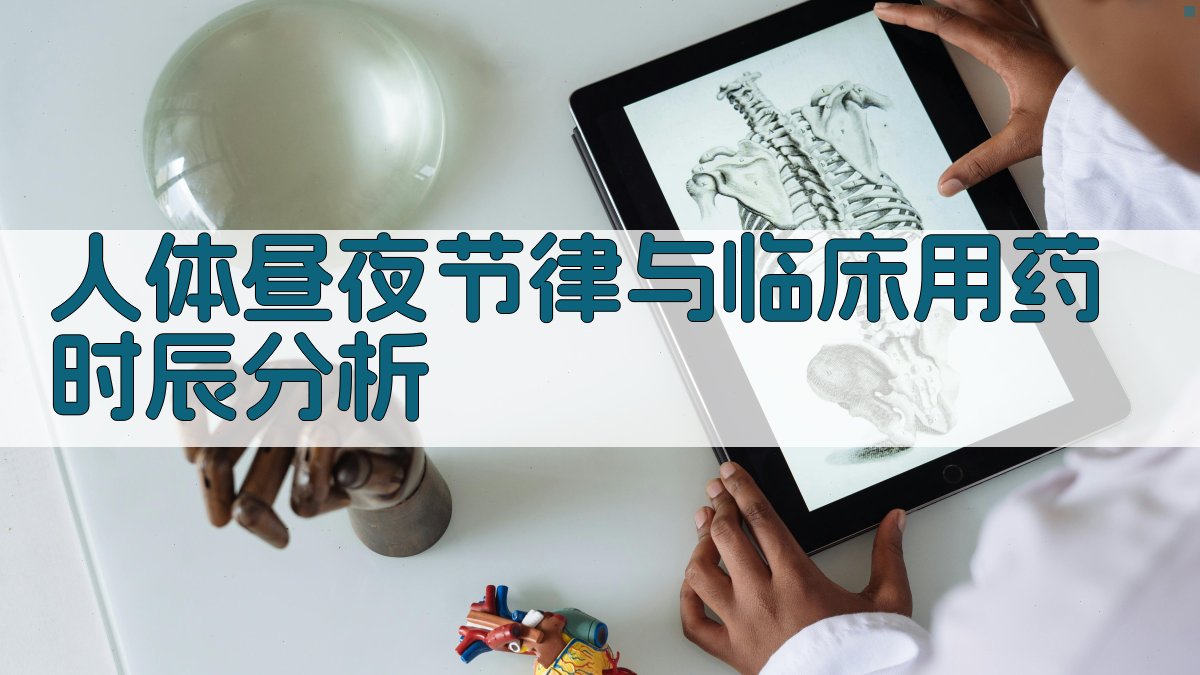 人体昼夜节律与临床用药时辰分析