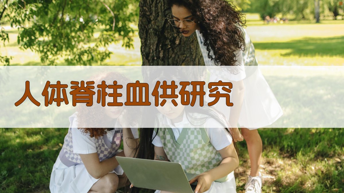 人体脊柱血供的研究—动脉部分