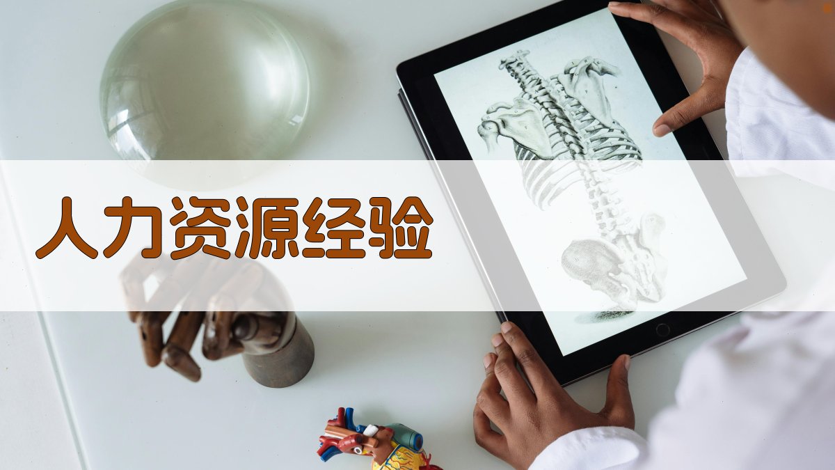 AI人力资源经验优化