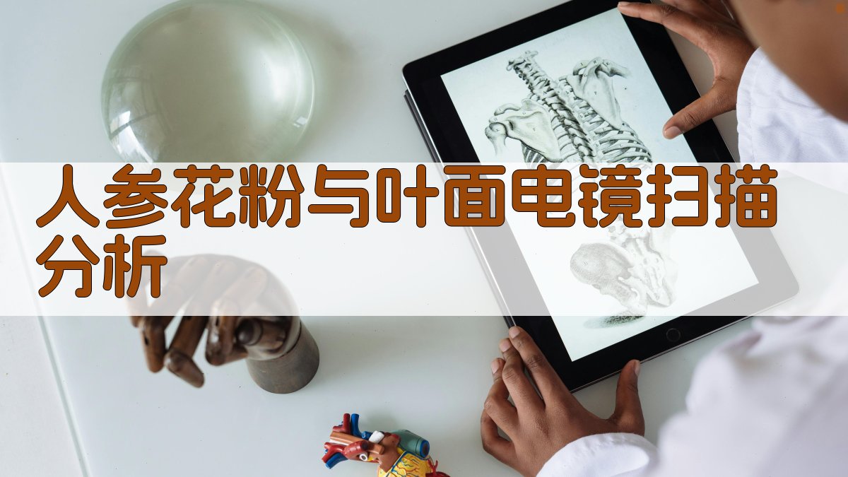 AI人参花粉与叶面电镜扫描结果分析